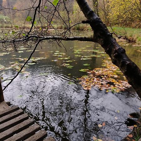 Ferme De La Petite Fagne Panzió Spa Kültér fotó