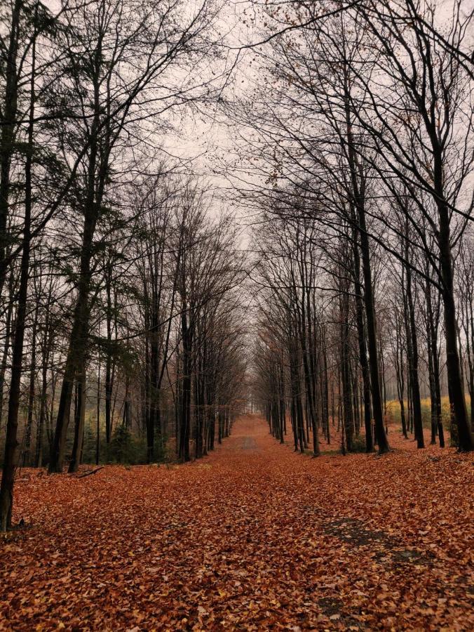 Ferme De La Petite Fagne Panzió Spa Kültér fotó